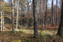 DSC_8524