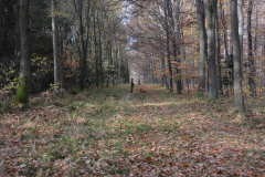 DSC_8543