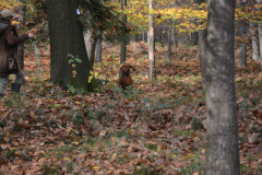DSC_8568