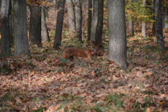 DSC_8569