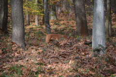 DSC_8570