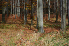 DSC_8573