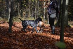 DSC_8611