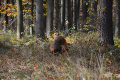 DSC_8660