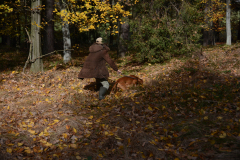 DSC_8675