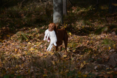DSC_8679