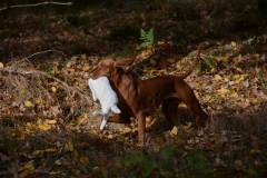 DSC_8680