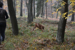 DSC_8690