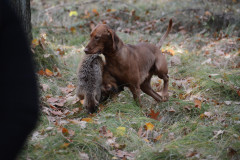 DSC_8697