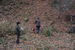 DSC_8704