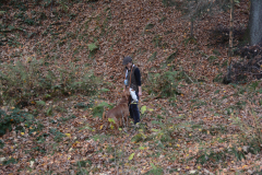 DSC_8709