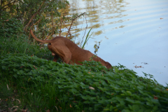 DSC_8751