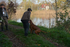DSC_8760