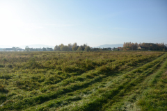 DSC_9040
