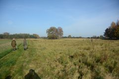 DSC_9050