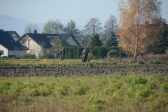 DSC_9060