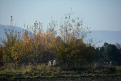 DSC_9061