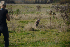 DSC_9130