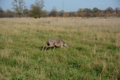 DSC_9154