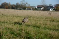 DSC_9169