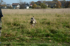 DSC_9174
