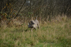 DSC_9194