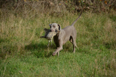 DSC_9196